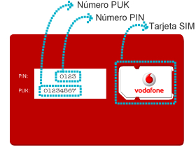 pin-sim