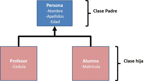 11: Herencia | Academia Códigos de Programación